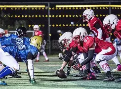 九游娱乐-橄榄球夜战：云贵飞鹰队逆转江南犀牛队，主帅临场妙招冲刺阶段不容有失(橄榄球比赛视频直播)